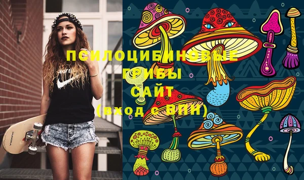 соль курить ск Алексеевка