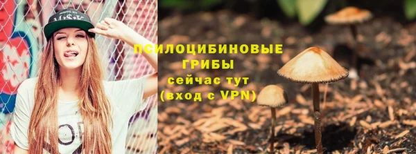 МДПВ Абдулино