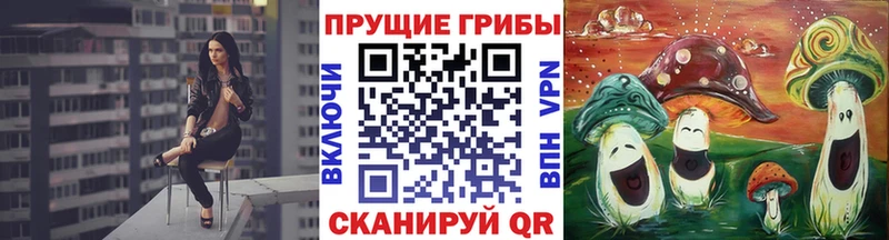 kraken Кораблино Псилоцибиновые грибы Magic Shrooms
